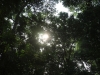 IMG-20190315-WA0027