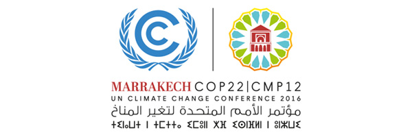 COP 22
